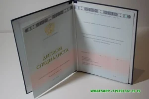 Купить диплом Дальневосточного мореходного училища (филиала) ФГБОУ ВПО Дальрыбвтуз в Электростали